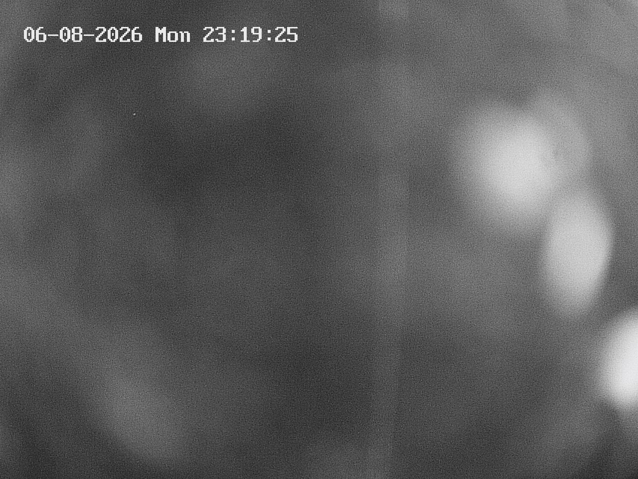web cam